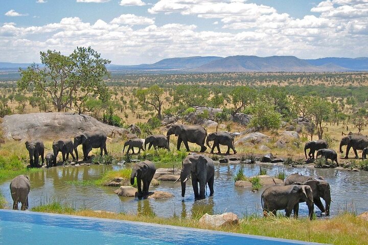 4 Day Garden Route tour from Cape Town + Addo National Park - Image 3