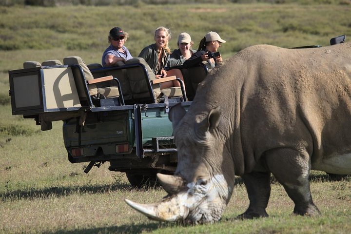 4-Day Garden Route Tours from Cape Town with Game Drive - Image 1