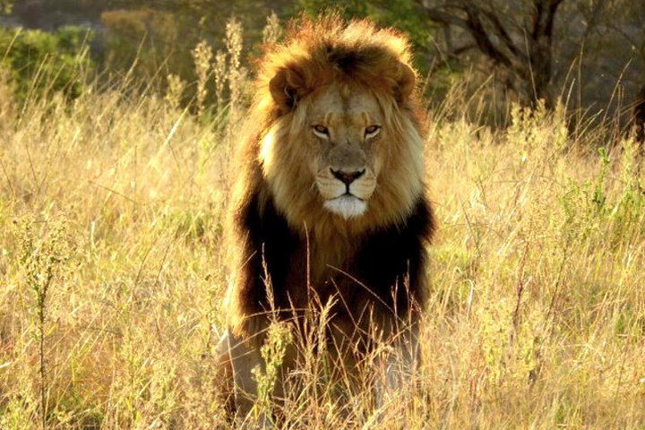 4-Day Sensational Garden Route Selection Micro Group Tour from Cape Town - Image 4