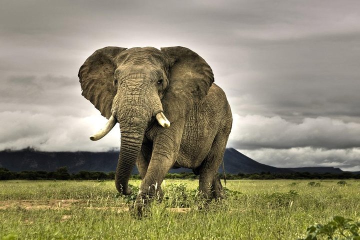 4 Days Cape Town Adventure - Image 4