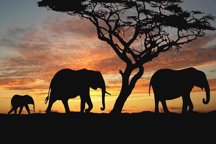 4 Days Cape Town Adventure - Image 2