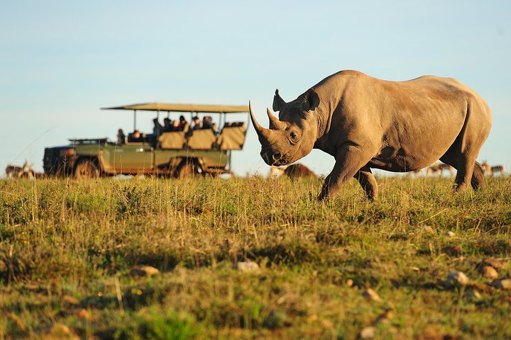 5-Day Garden Route in 4-star Accommodation (BB) - Image 1