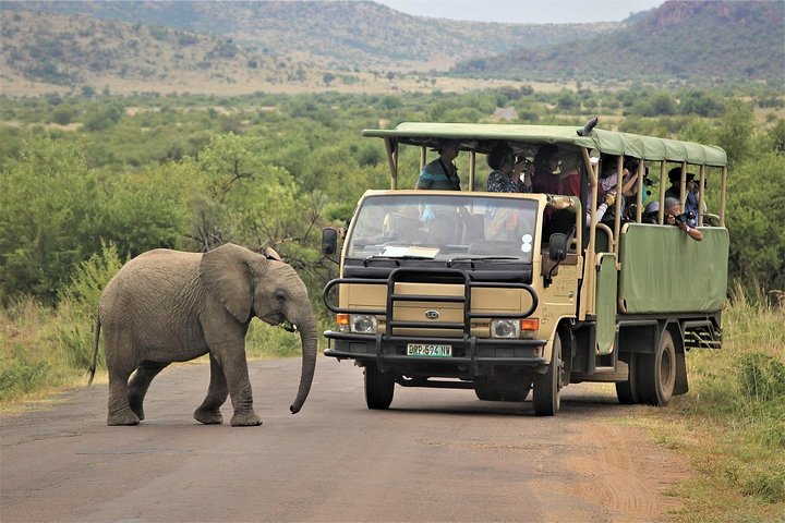 5-Day Garden Route Shared Tour from Cape Town including Addo National Park - Image 2