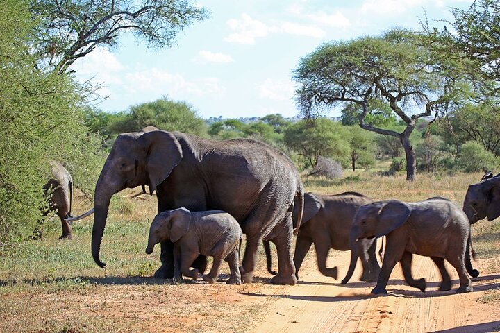 5 Day Garden Route Small Group Tour Fr CapeTown - Departs Mondays - Image 1