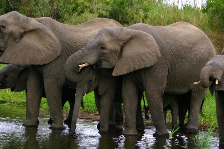 6 Day Garden Route Small Group Tour Fr CapeTown - Departs Mondays - Image 5