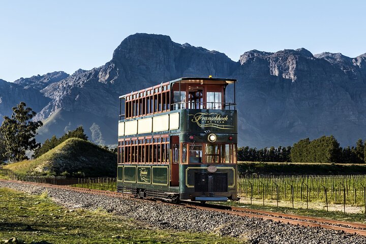 7 Day Garden Route with Addo, Cape Point and Winelands Small Group Combo Package - Image 2