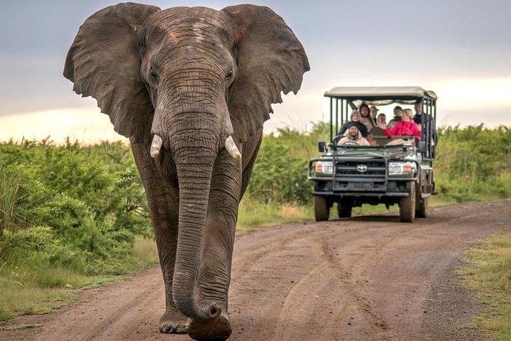 7 Day Garden Route with Addo, Cape Point and Winelands Small Group Combo Package - Image 3