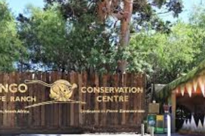7-Days Tour Package 3 Nights Cape Town and 3 Nights Garden Route - Image 5