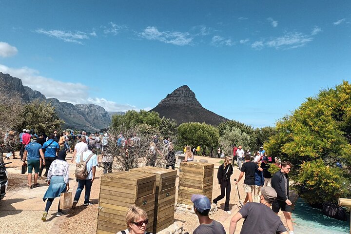 8-Hour Tour in Table Mountain Penguins and Cape of Good Hope  - Image 2