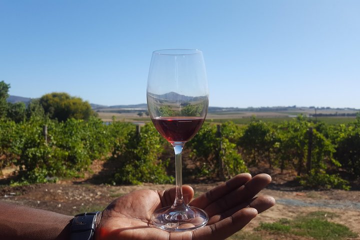 A Visit To Stellenbosch Franschoek Paarl Wineries From Cape Town Full Day - Image 2