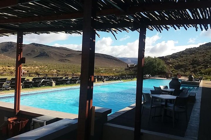 African Big 5 Full Day Safari Aquila Game Reserve From Cape Town - Image 5