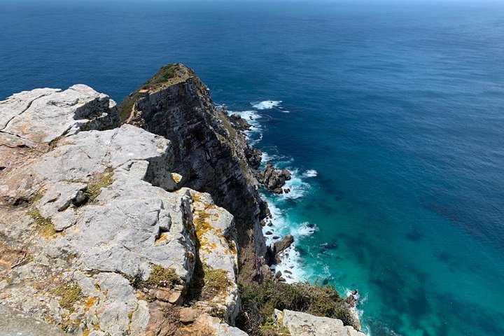 African Penguins, Cape Point & Constantia Wine tasting Full Day Tour. - Image 5