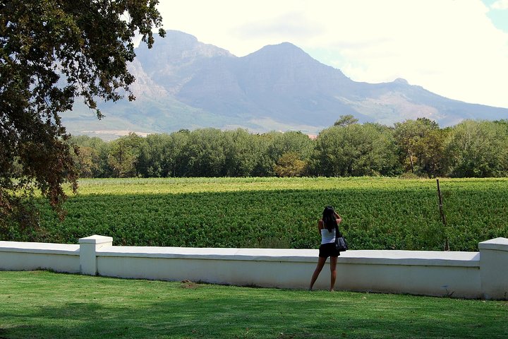 African Story Wine Tours in the Cape Winelands - Image 1
