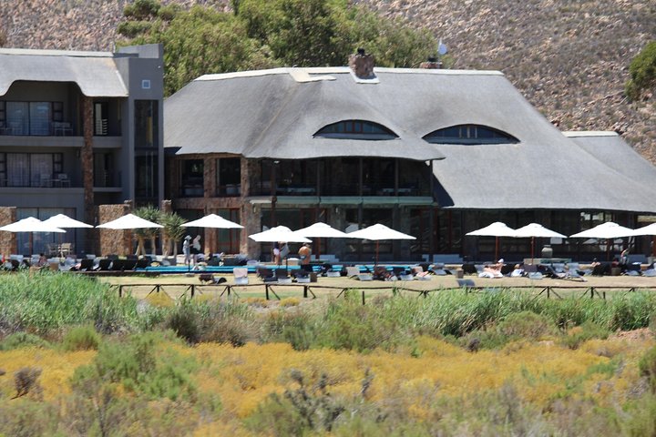 Aquila Game Drive and Safari - Image 1