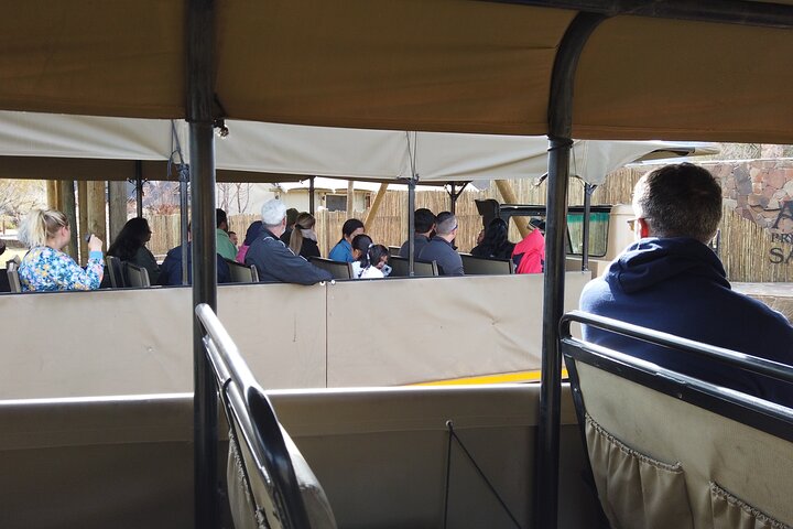 Aquila Sunset Safari Tour from Cape Town  - Image 5