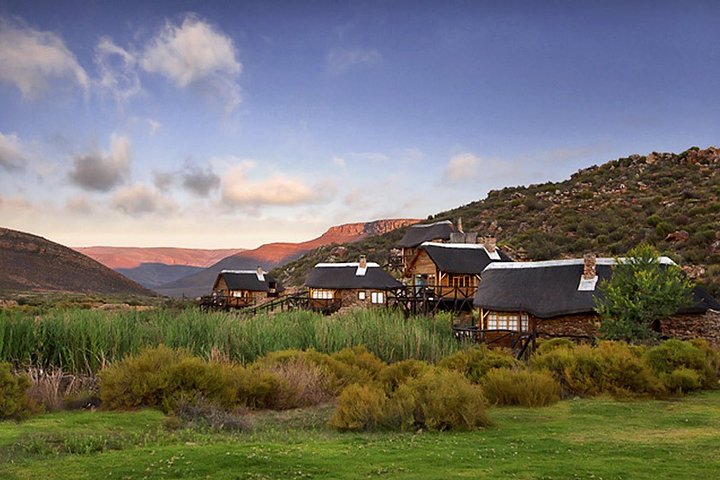 Aquila Wildlife Safari Tour - Image 1