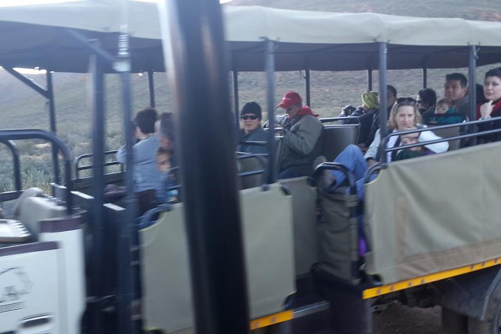 Aquila Wildlife Safari Tour - Image 2