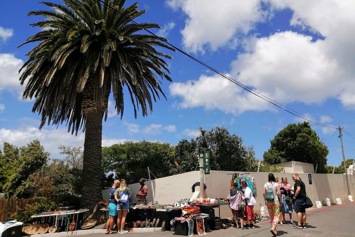 Best of Cape Private Tour, Penguins and Wines in Constantia  - Image 2