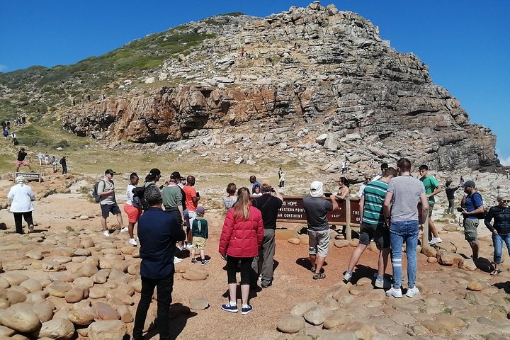 Best of Cape Private Tour, Penguins and Wines in Constantia  - Image 1