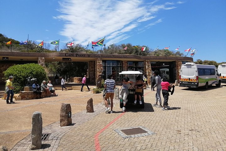 Best of Cape Private Tour, Penguins and Wines in Constantia  - Image 5