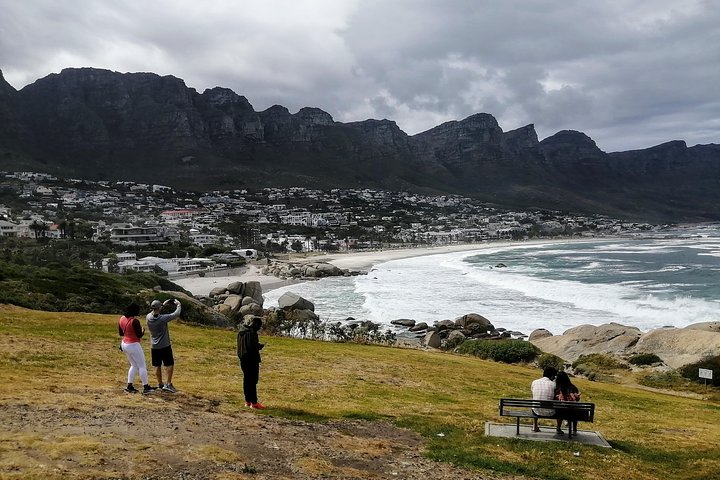 Best of Cape Private Tour, Penguins and Wines in Constantia  - Image 4