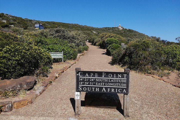 Best of Cape Private Tour, Penguins and Wines in Constantia  - Image 3