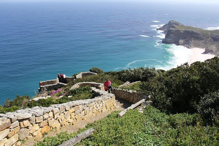 Best of The Cape Full Day Private Tour with Table Mountain - Image 4