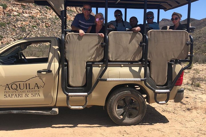 Big 5 African Safari near Cape Town  - Image 3