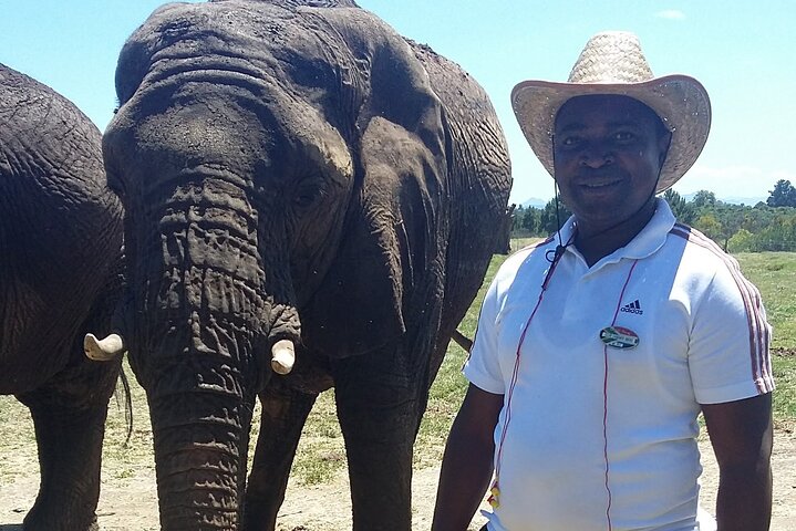 Big Five Safari Tour near Cape Town Full Day Tour - Image 2