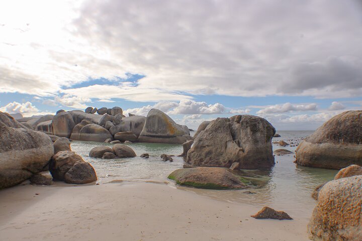 Boulder's Beach African Penguins Chapman's Peak & Simonstown - Image 4