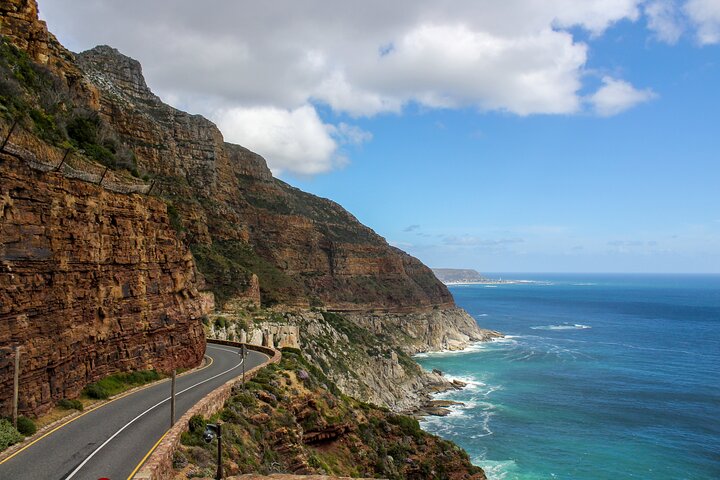 Boulder's Beach African Penguins Chapman's Peak & Simonstown - Image 2