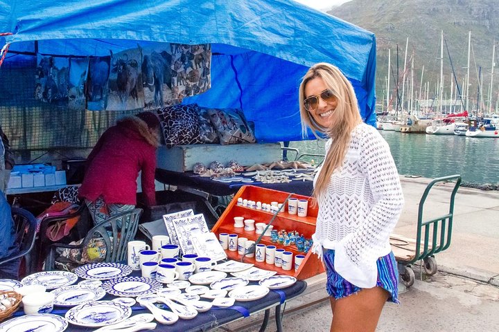 Breath-taking Cape Peninsula Tour - Image 5