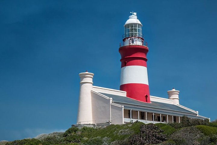 Cape Agulhas Full Day Private Tour from Cape Town - Image 5