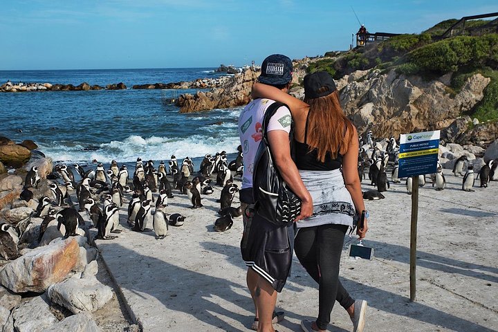 Cape Agulhas Full Day Private Tour from Cape Town - Image 3