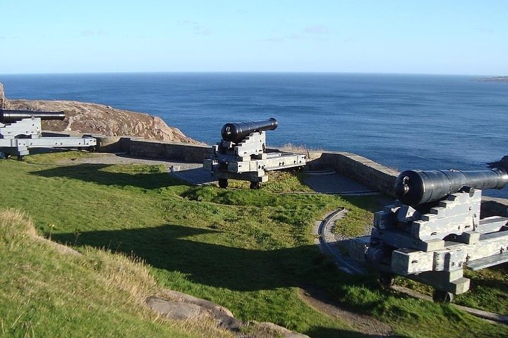 Cape City Center, World of Birds and Seal Island Tour. - Image 3