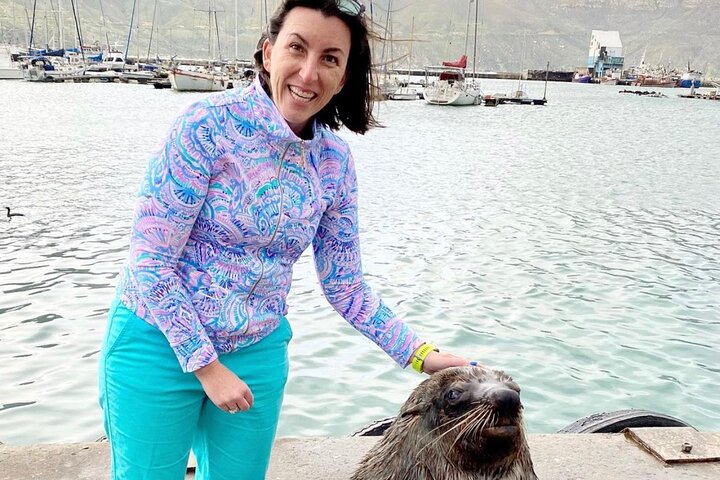 Cape City Center, World of Birds and Seal Island Tour. - Image 2