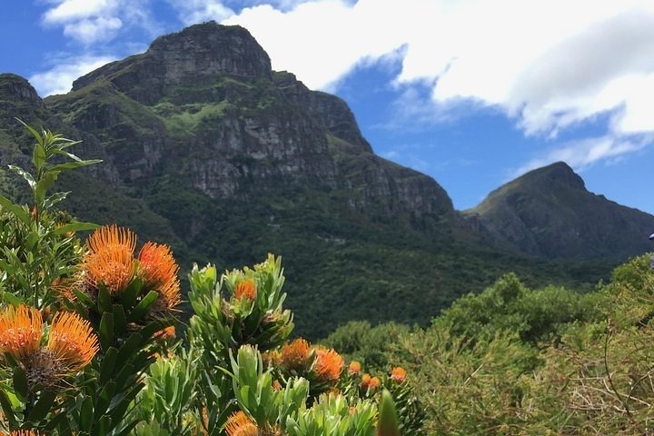 Cape City Centre & Kisternbosch Botanical Gardens Full day Tour. - Image 3