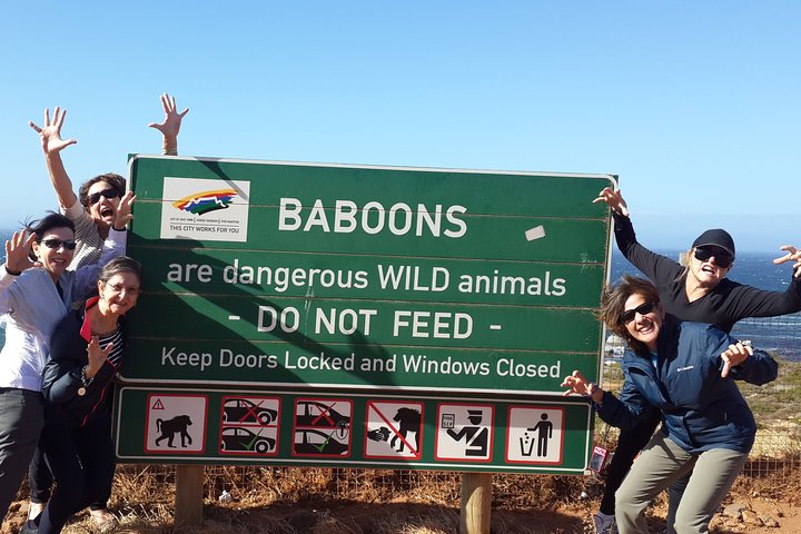Cape of Good Hope and Cape Winelands Day Tour from Cape Town - Image 1