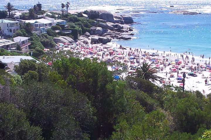 Cape of Good Hope and Cape Winelands Day Tour from Cape Town - Image 2