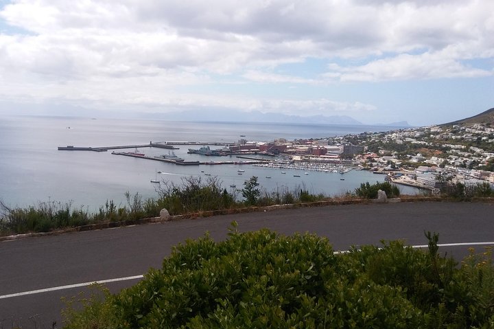 Cape of Good Hope and Penguins - Image 3
