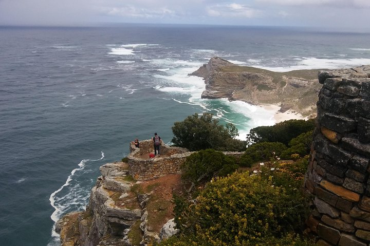 Cape of Good Hope and Penguins - Image 2