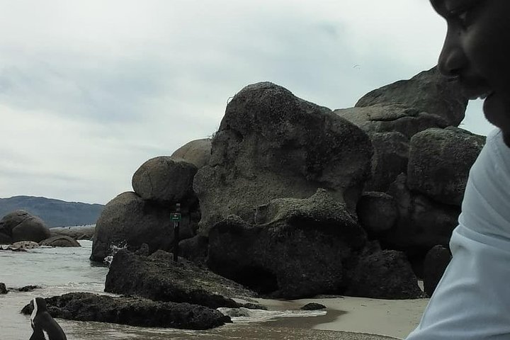 Cape of Good Hope and Penguins - Image 4