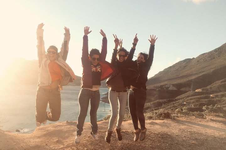 Cape Of Good Hope and Penguins Full Day Small Group Tour from Cape Town - Image 1
