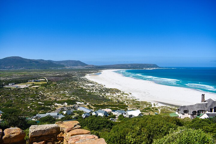 Cape of Good Hope and Penguins Full-Day Tour From Cape Town - Image 5