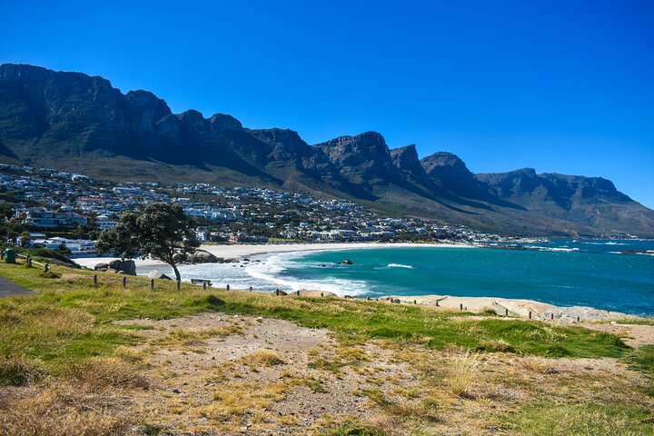 Cape of Good Hope and Penguins Full-Day Tour From Cape Town - Image 2