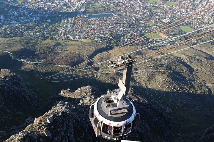 Cape Of Good Hope and Table Mountain Day Trip from Cape Town parks fees include - Image 1
