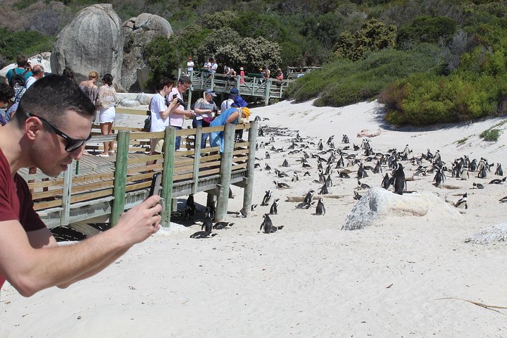 Cape Of Good Hope Bo-Kaap Penguins Full Day Shared Tour Excluding Entry Fees - Image 1