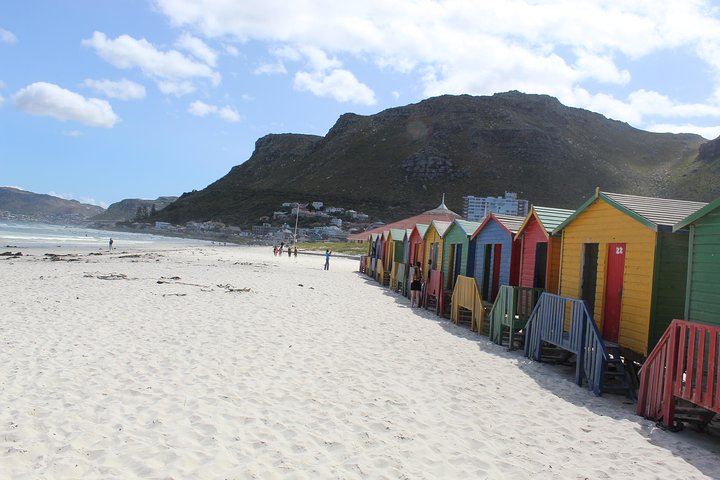 Cape Of Good Hope Bo-Kaap Penguins Full Day Shared Tour Excluding Entry Fees - Image 5