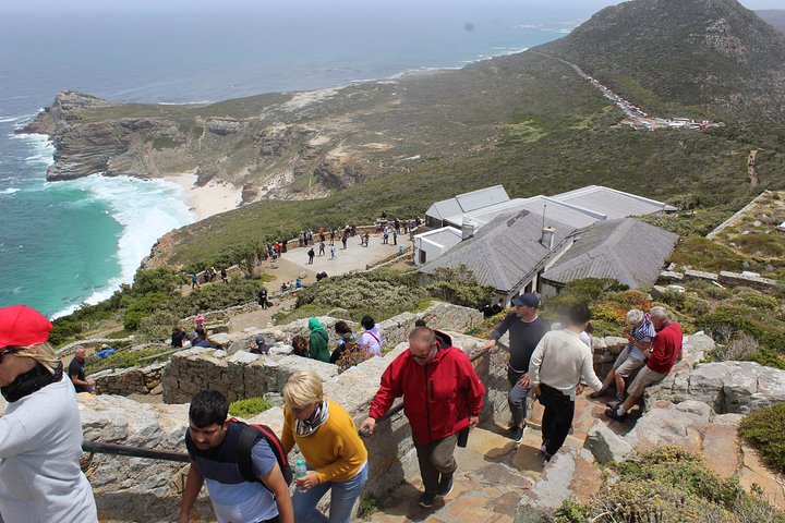 Cape Of Good Hope Bo-Kaap Penguins Full Day Shared Tour Excluding Entry Fees - Image 3