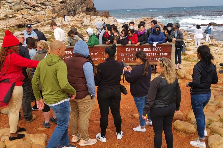 Cape of Good Hope, Boulders Beach Full Day Private Experience - Image 3